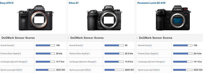 Vaardig Onderzoek test Panasonic S1R sensor review at DxOmark: “exceptional color sensitivity” – L  mount system camera rumors and news