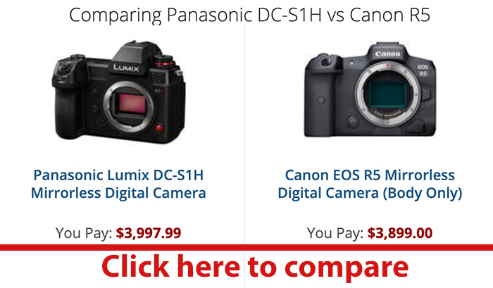 Canon EOS R5 Mirrorless Digital Camera (R5 Camera Body) B&H Photo